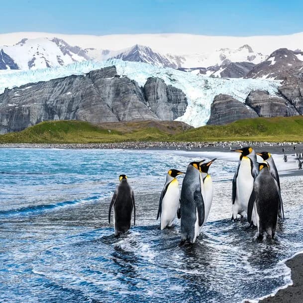 Expedition Antarctica: Antarctic Circle (intensive)