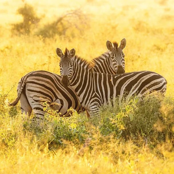 Africa – a dream destination