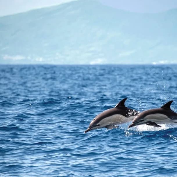 Expedition Azores: an Atlantic hiker’s paradise