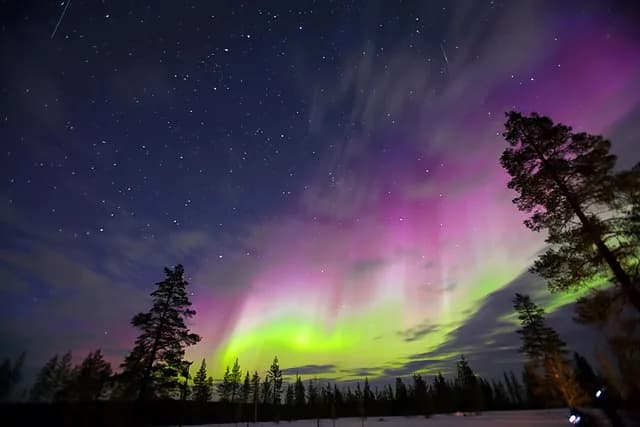 Savour the Northern Lights on The North Cape Line - North