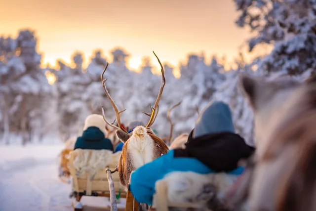 A Nordic winter journey – Finnish Lapland, Norway and Oslo