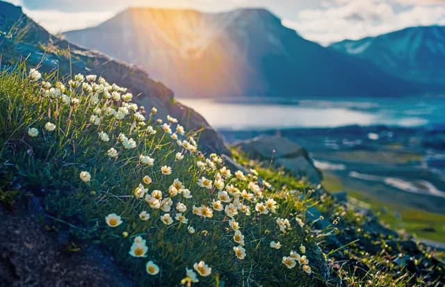 Best time to visit Norway: Months & Seasons