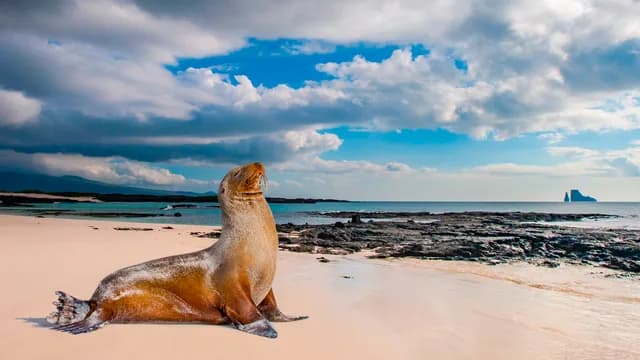 Galápagos Islands – In Darwin’s Footsteps (Eastern Route)