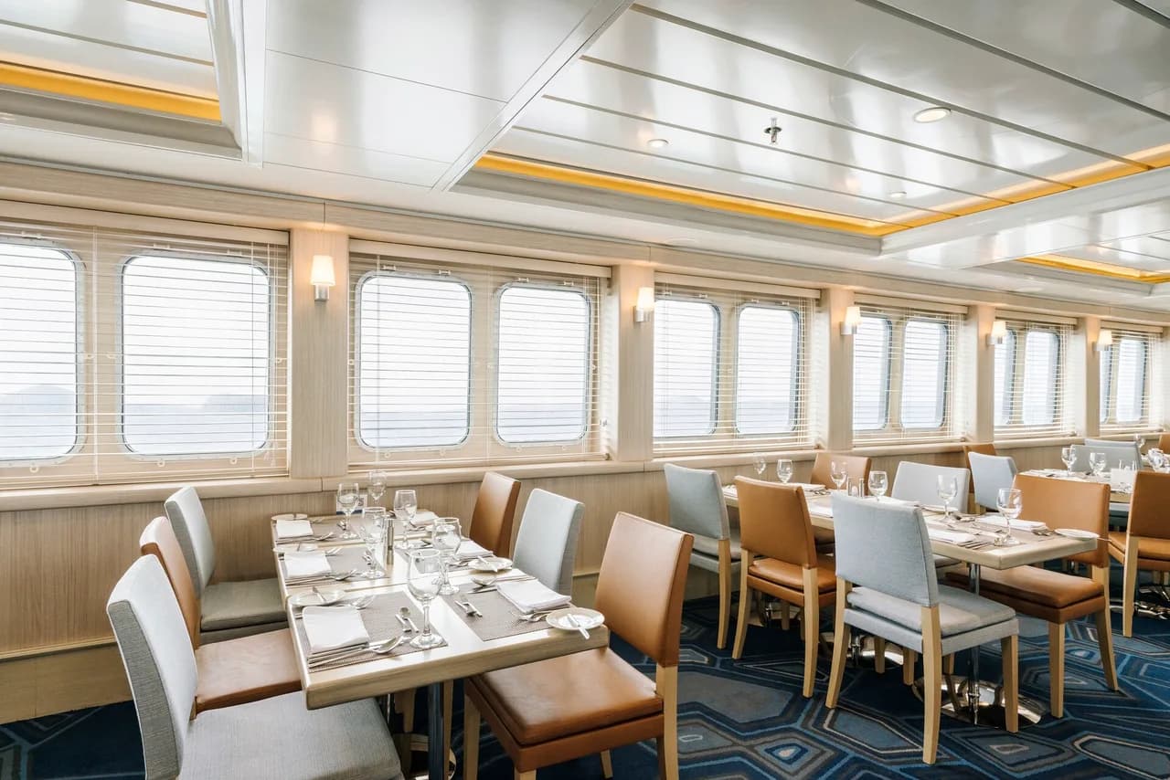 Beagle Restaurant - Incredible Dining Experience