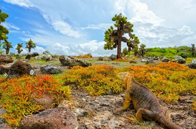 Galápagos Islands – In Darwin’s Footsteps plus Machu Picchu