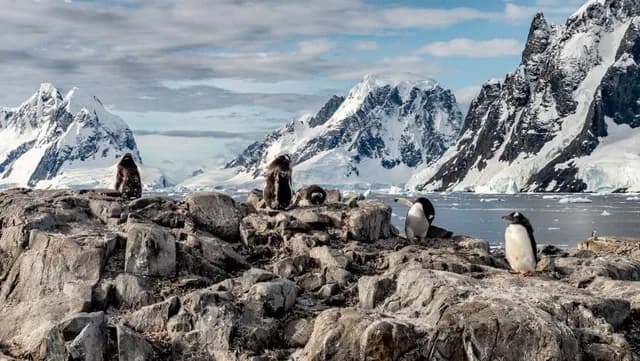 Antarctic Circle Expedition Cruise