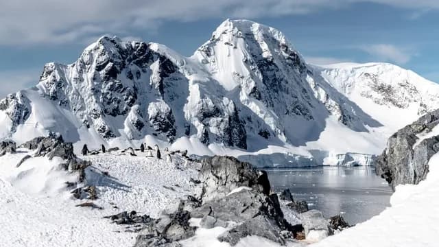 Life Returns | Springtime Expedition Cruise to Antarctica