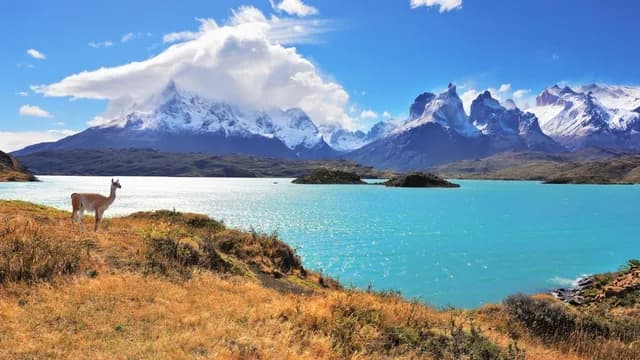 Chilean Fjords – Highlights of Patagonia