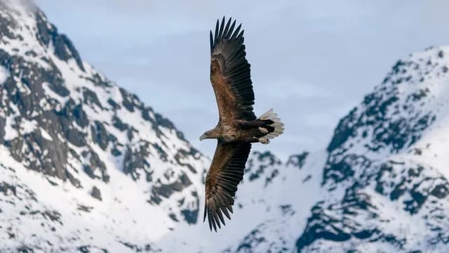 Norway Cape to Cape – Beyond the Arctic Circle