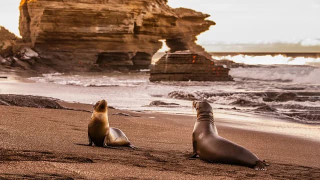 Galápagos Islands 