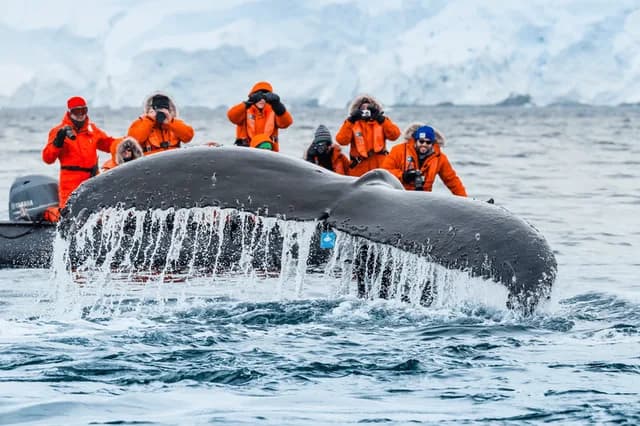 Voyage to Antarctica
