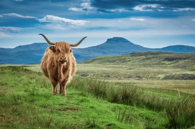Scotland's Highlands and Islands Aboard Lord of the Glens