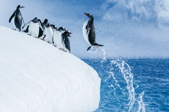 Antarctica Direct: Fly the Drake Passage