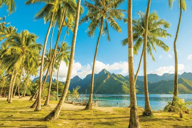 Pearls of the Pacific: The Society and Tuamotu Islands