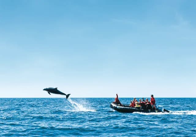 Channel Islands National Park to Baja California