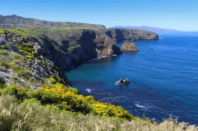Discovering Channel Islands National Park: A 5-Day Voyage