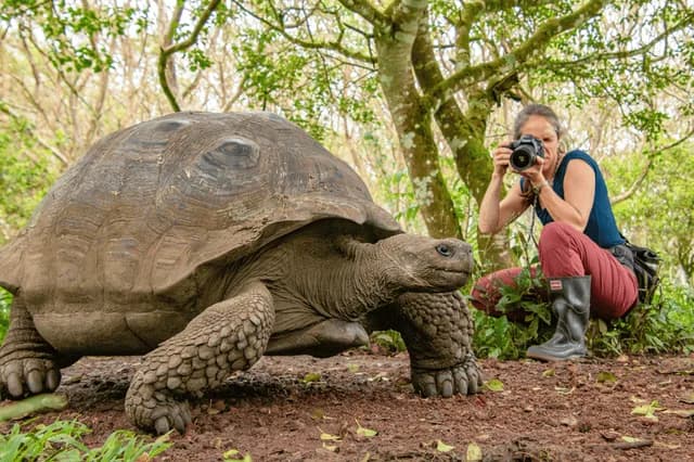 Exploring Galápagos, Machu Picchu and Peru's Land of the Inca