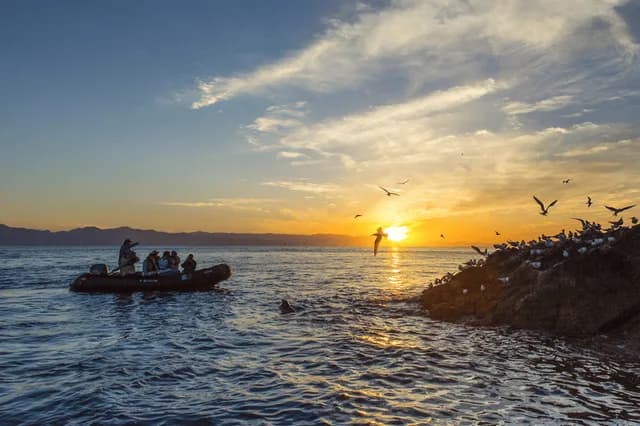 Baja California Holiday: A Living Sea and Desert Isles
