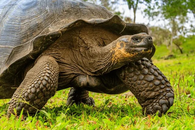 Galápagos by Catamaran: An Intimate Voyage