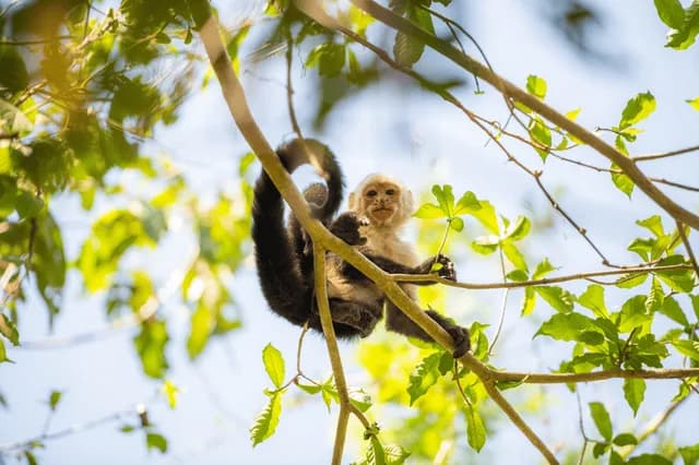Exploring Costa Rica: Guanacaste, Santa Rosa and Rincón de la Vieja