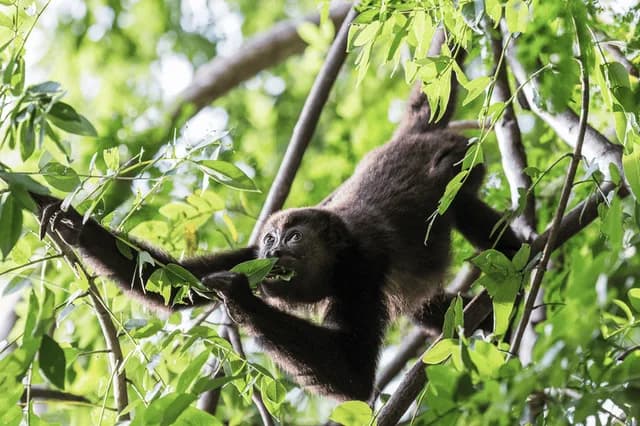 Exploring Costa Rica: Guanacaste, Santa Rosa and Rincón de la Vieja