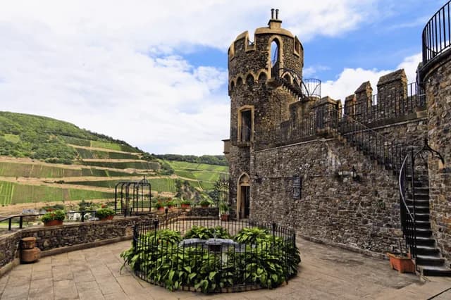 Rhine River: Castles, Culture and Culinary Delights