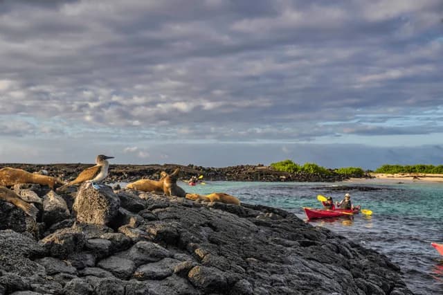 Epic Galápagos Escape