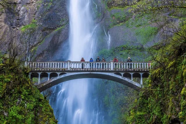 Columbia and Snake Rivers: Food, Wine and History