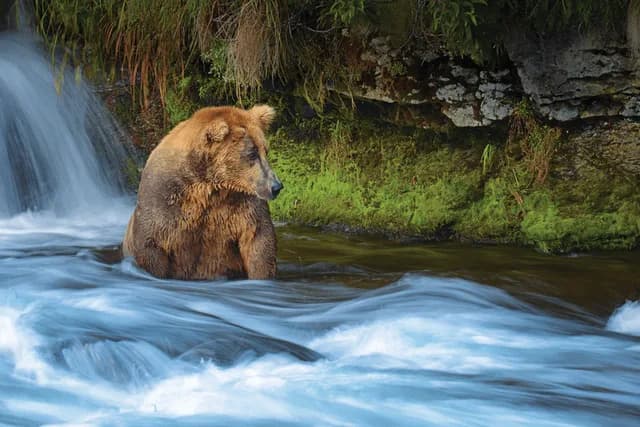 Alaska's Inside Passage