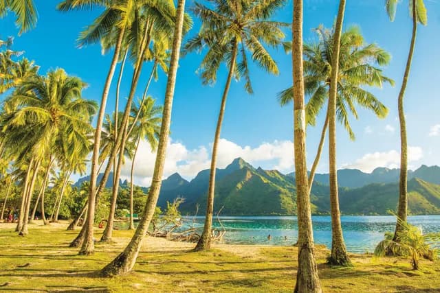 French Polynesia: The Society Islands and Tuamotus