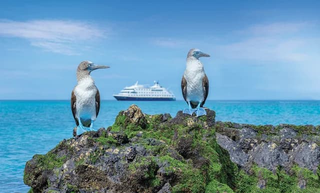 Ultimate Galápagos