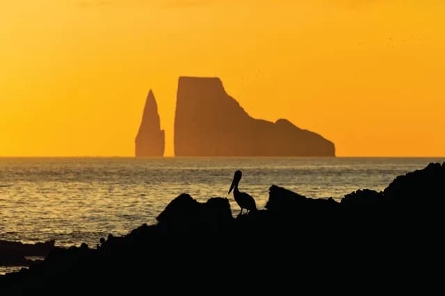 Galápagos by Catamaran, Machu Picchu and Peru's Land of the Inca