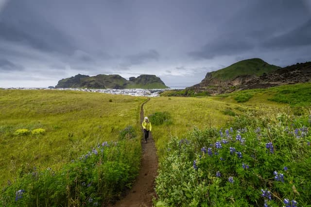 Wild Arctic Shores: Circumnavigating Iceland and Exploring Greenland