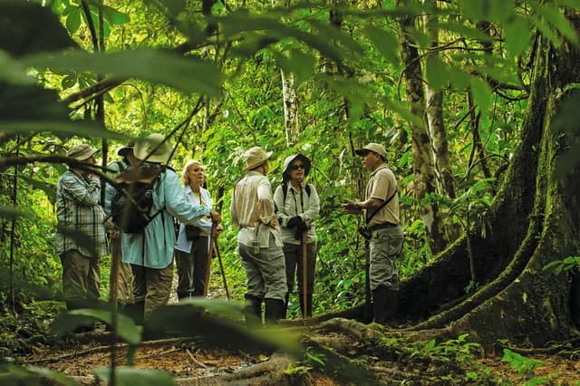 Upper Amazon: A River Expedition