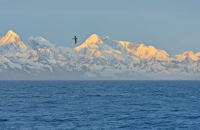 Atlantic Odyssey incl. Antarctic Peninsula to Cape Verde