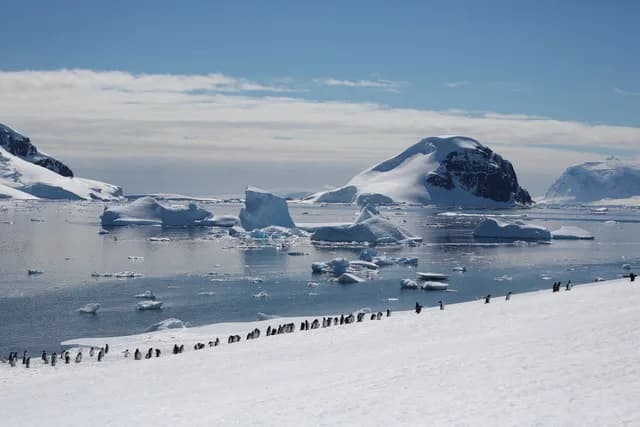 Antarctica - Discovery and Learning