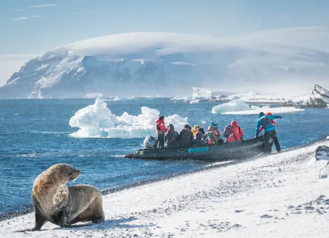 Falkland Islands - South Georgia - Antarctic Peninsula