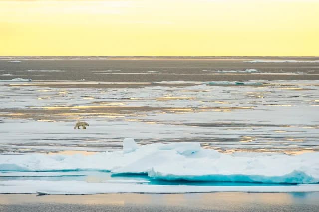 Around Spitsbergen incl. Nordaustlandet