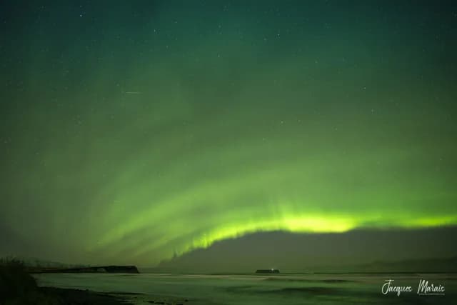 Northeast Iceland Explorer , Aurora Borealis, Hike & Sail - Incl. Bus back up