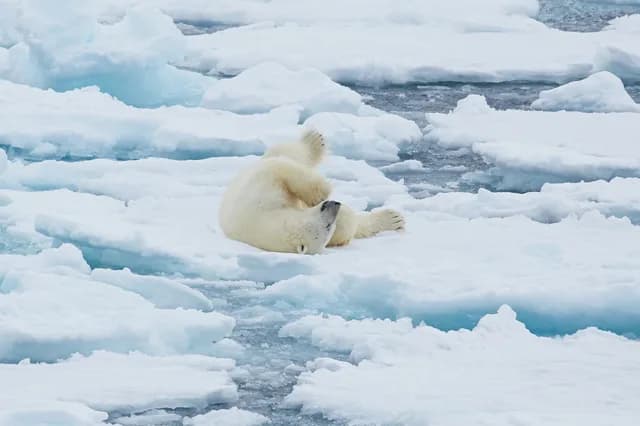 North Spitsbergen Explorer - Versatile Landscapes, Sea Ice & Wildlife - Summer Solstice