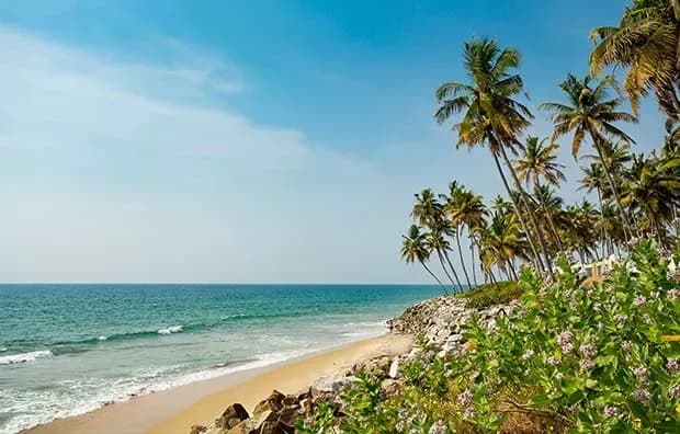 The Kerala Backwaters · Upstream