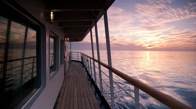 Best of Antarctica's Whale Season