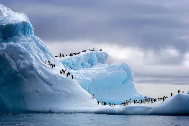 Christmas Season in Antarctica