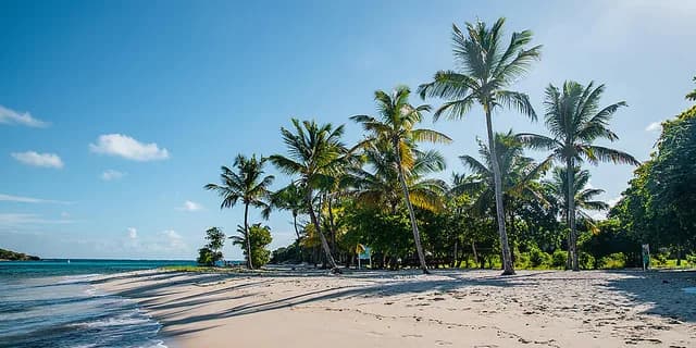 Pearls of the Caribbean