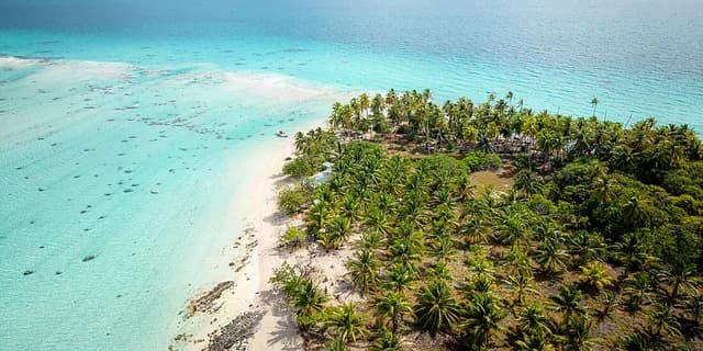Ancestral Cultures of the South Pacific