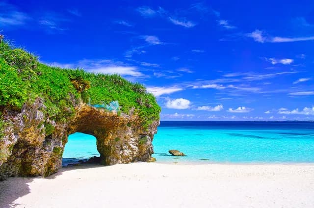 Odyssey in the heart of Japan’s subtropical islands