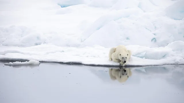 Iceland Voyage: Land of Fire and Ice – with Smithsonian Journeys