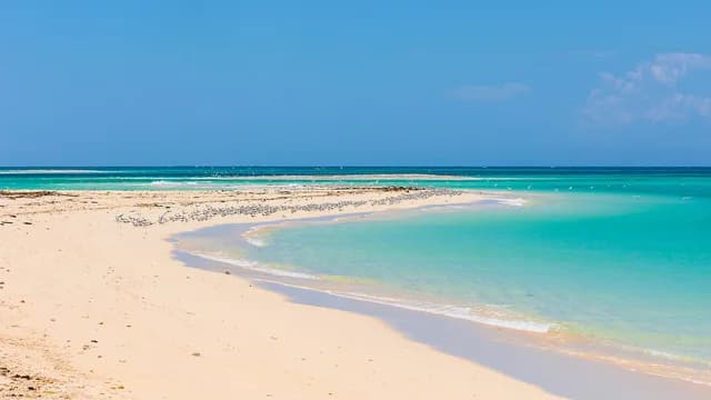 Jewels of Madagascar