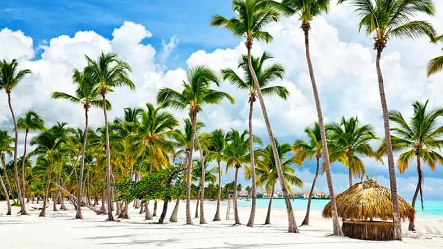 Secret treasures of the Lesser Antilles
