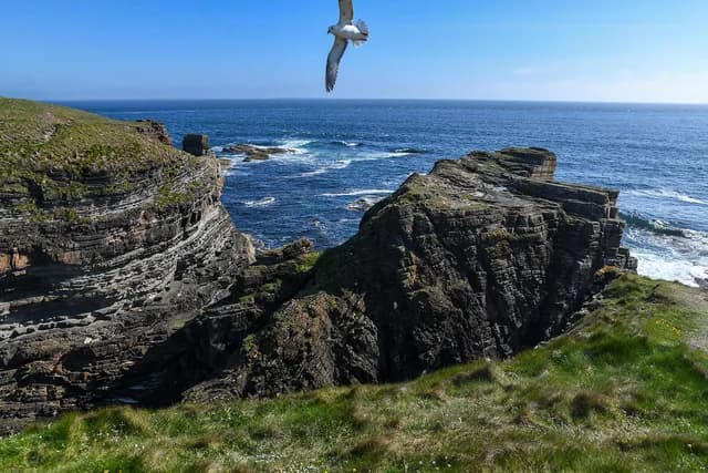 Wild Scotland and mythical islands
